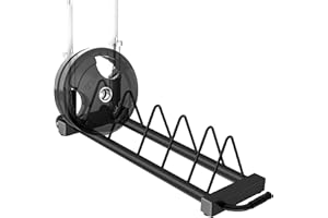 RitFit Horizontal/Vertical Weight Plates Rack, Weight Storage Rack with Barbell Bumper Weight Plates Holder for 2-Inch Weight Plates, Olympic Bar Storage Rack with Handle and Rolling Wheels