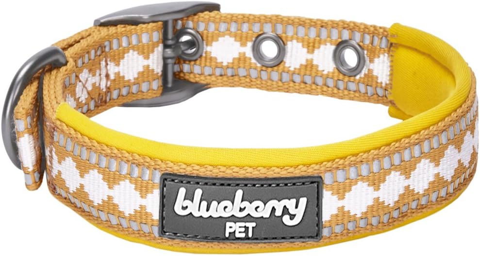 Best Blueberry Collar 3M