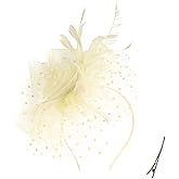 QDC Fascinators for Women Tea Party Headband Hats Cocktail Flower Mesh Feathers Headwear Hair Clip for Wedding