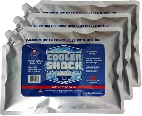 extra large ice packs for coolers