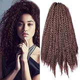 Carina 3 Bundles Afro Kinkys Curly Hair Extensions Long Afro Kinky Marley Twist Braiding Hair For Women And Girl (18 inch, 33#)