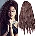 Carina 3 Bundles Afro Kinkys Curly Hair Extensions Long Afro Kinky Marley Twist Braiding Hair For Women And Girl (18 inch, 33#)