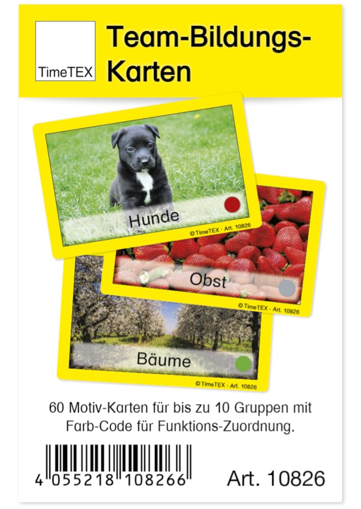 TimeTex Team Education Cards in Case