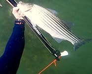 Review Image by Amazon Customer