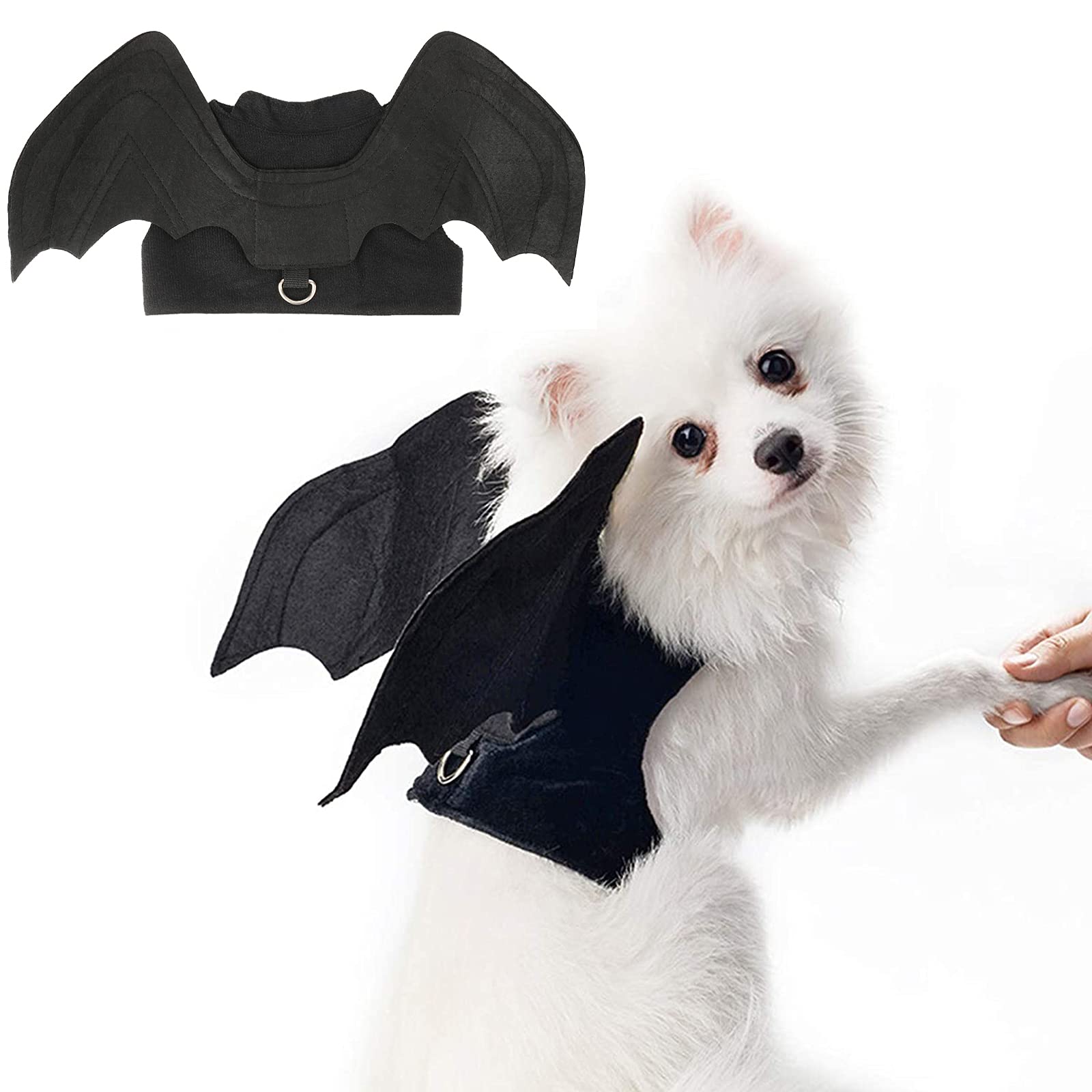 Photo 1 of RYPET Dog Halloween Costume - Halloween Bat Wings Pet Costumes for Dogs Cats Halloween Party Medium