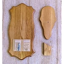 Amazon.com : The Taxidermists Woodshop Medium Oak European Mount Picture  Pedestal Plaque : Sports & Outdoors