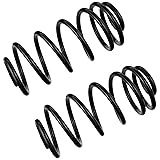 TRW JCS1543T Coil Spring Set, 2 Pack