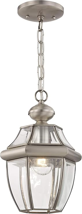Livex Lighting 2152-91 Monterey 1-Light Outdoor Chain Hang, Brushed