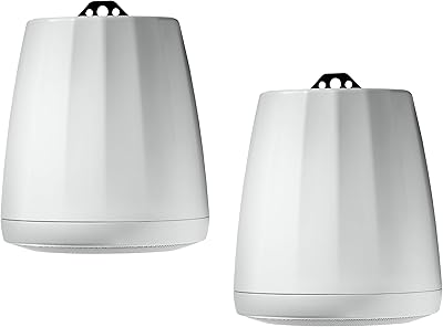 JBL PRO Control 65P/T