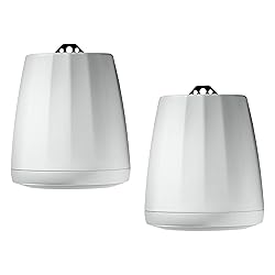 JBL Professional C65P/T-WH Compact Full-Range