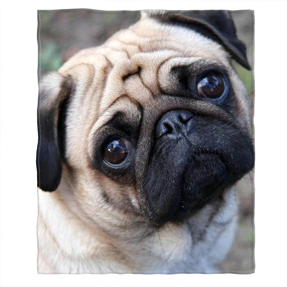 Amazon Com Moslion Soft Cozy Throw Blanket Pug Dog Fuzzy Couch