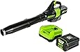 Greenworks 80V Jet Electric Leaf Blower, 2.5Ah Battery and Charger Included, BL80L2510