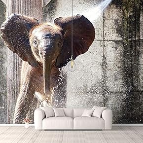 Wall Murals for Bedroom Beautiful Vintage Pictures Collection Collage Removable Wallpaper Peel and Stick Wall Stickers - 66x96 inches