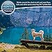 Flea And Tick Collar For Dogs | Prevents And Removes Fleas, Ticks, Lice And Mosquitos In 24 Hours | 8 Months Protection | 100% Natural Essential Oil Flea And Tick Prevention For Dogs