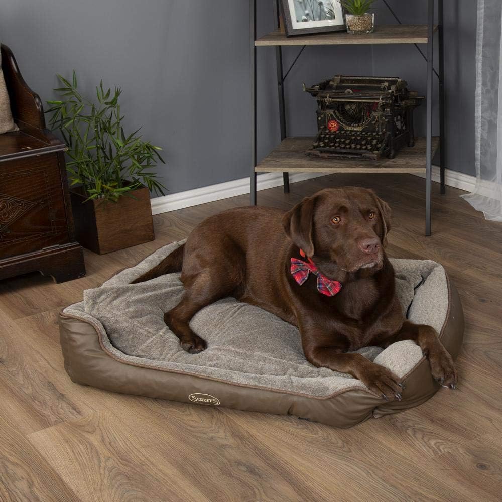 Scruffs Chateau Memory Foam Orthopaedic Box Bed (XL) Latte, 90 x 70cm - Image 3