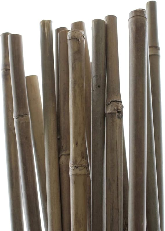 PLANT IT 10480062 5 ft Bamboo Stakes Beige (Pack of 25 PLANT IT 10480062 5 ft Bamboo Stakes Beige (Pack of 25