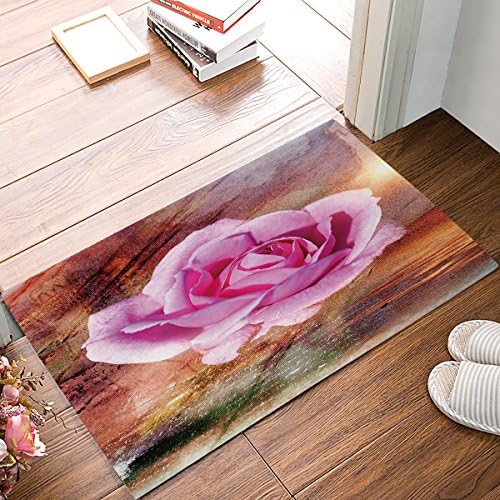 Findamy Non-slip Door Mat Entrance Rug Rectangle Absorbent Moisture Floor Carpet for Indoor Outdoor Rose Pattern Doormat 16x24 inch
