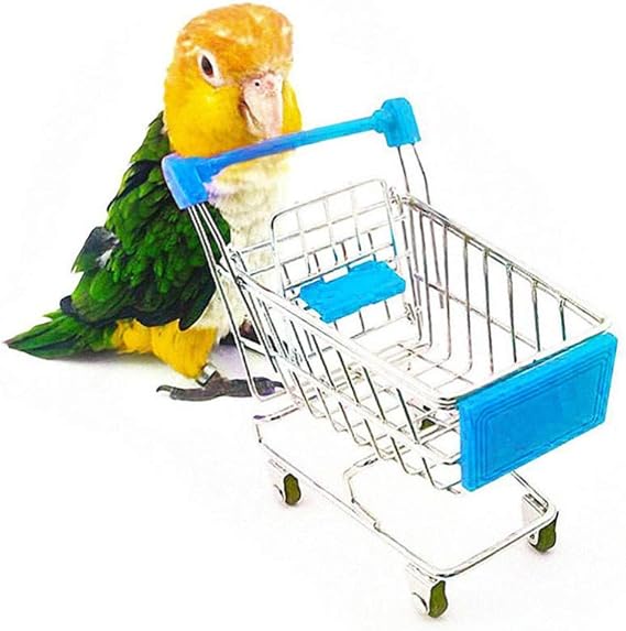 Ueetek Pet Bird Toys Parrot Intelligence Training Playing Mini Shopping Cart For Parakeet Budgie Pet Supplies Amazon Com