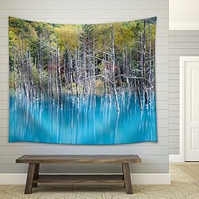 Blue Pond Aoiike in Biei, Hokkaido - Fabric Wall Tapestry Home Decor - 51x60 inches