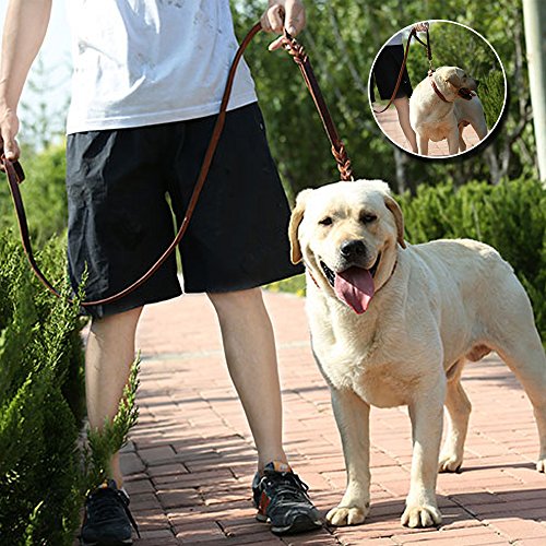 Wellbro Double handle Leather Dog Leash, 6 Foot Braided Dog Training Leash, Soft and Deluxe Pet Walking Lead with Copper Hook, For Safe Control of Medium/Large Dogs, Brown - Thumbnail 6