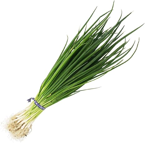 Amazon ねぎ苗 九条ネギ 浅黄系九条 細ねぎ 50本 抜き苗 岡山県産 野菜