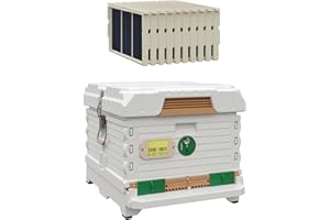 Apimaye Ergo Insulated Bee Hive Set with Plastic PRO Frames with Premier Double Wax Foundations (Single Deep) (White Body Green Entrance)