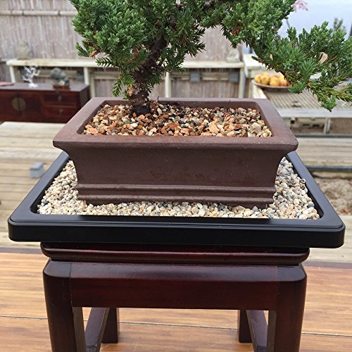 Bonsai Drip and Humidity Tray Helps Protect Furniture + 7" Planting Trays Provides Moisture