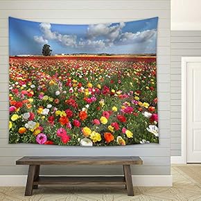 The Magnificent Garden Buttercups. The Boundless Field, Blooming Colorful Garden Buttercups - Fabric Wall Tapestry Home Decor - 51x60 inches