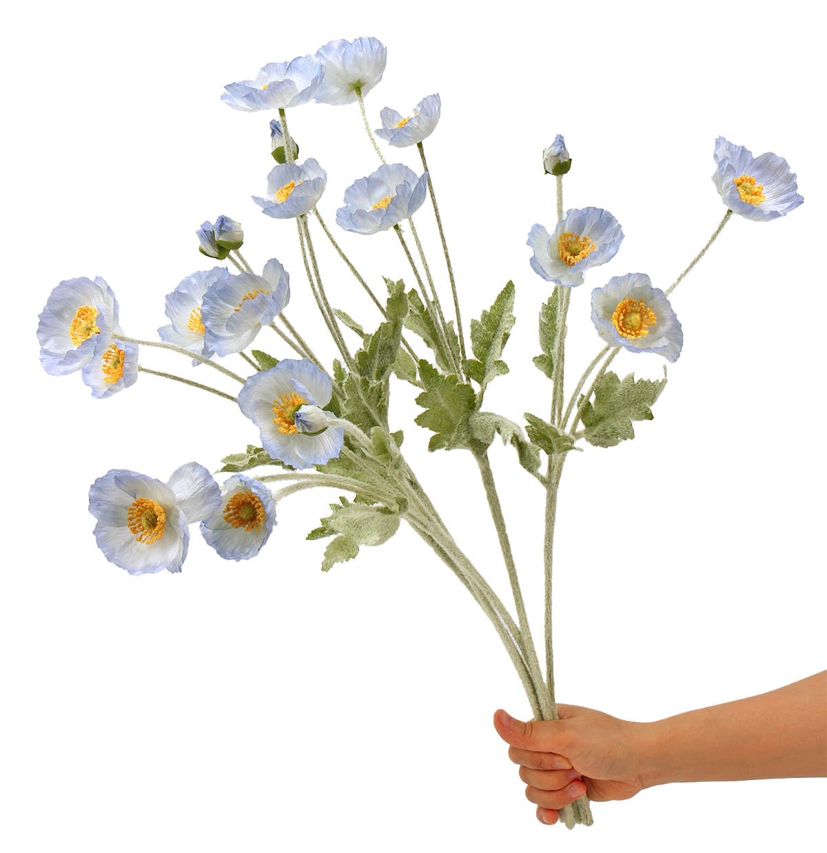 Photo 1 of Mythlty Set of 6 Light Blue Silk Poppy Flowers Artificial with Stems Silk Poppies Bouquet Faux Ranunculus Artificial Flowers for Wedding Party Home Office Indoor Decoration (Light Blue)