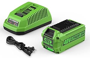AYTXTG 40V 6.5Ah 29462 29472 Replacement for Greenworks 40 Volt Battery and Charger 29482 Compatible with Greenworks 40V Lithium-Ion Battery 29252 20202 22262 40 Volt G-MAX