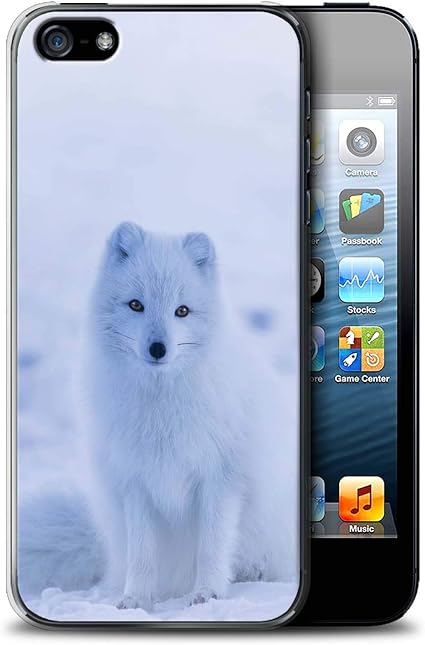 Stuff4 Coque Pour Apple Iphone 6s Plus Photos Mignonnes Bebe Animal Renard Arctique Blanc Chiot Design Transparent Etui Housse Case Rigide Ultra Mince Audio Et Video Portable Accessoires Agri Khoramdareh Ir