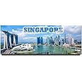 Singapore Panoramic Fridge Magnet Marina Bay Sands Travel Souvenir