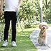 PetBemo Hands Free Leash - Multifunctional Training Leash 6.2ft Nylon Dual Leash Fits Puppy, Small & Large Dogs for Running, Jogging or Walking
