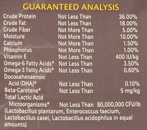 Wellness CORE Puppy Dog Food - Image 2