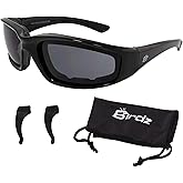 Birdz Eyewear Oriole Motorcycle Padded Glasses Smoke Anti Fog Lens Free Rubber Ear Locks