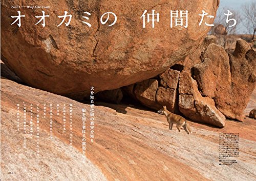 オオカミと野生のイヌ 近藤雄生 澤井聖一 菊水健史 本 通販 Amazon