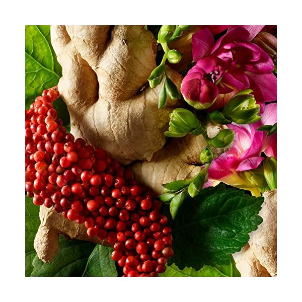 Molton-Brown-Fiery-Pink-Pepper-Bath-Shower-Gel Molton Brown Fiery Pink Pepper Bath & Shower Gel, 300 ml