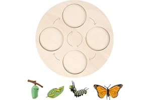 Butterfly Life Cycle Kit - Wooden Puzzle Board Educational Toy, Lnteractive Science Learning with Bright Colors for | Versati