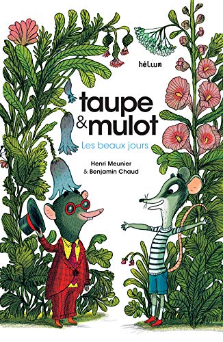 Taupe Et Mulot 1 Les Beaux Jours Helium Album Meunier Henri Amazon Com Books