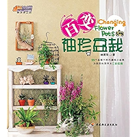 百变袖珍盆裁 (Chinese Edition) book cover 百变袖珍盆裁 (Chinese Edition) book cover