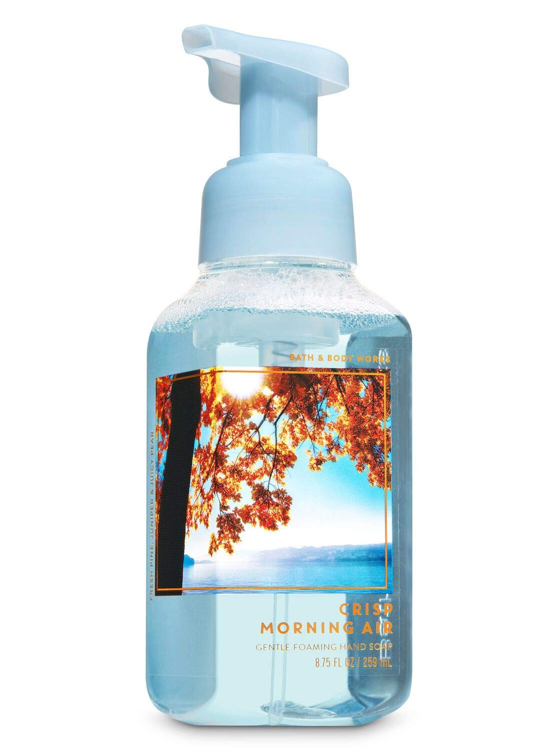 Bath and Body Works Fall Favorites - Set of 5 Foaming Hand Soaps - Sweet Cinnamon Pumpkin, Marshmallow Pumpkin Latte, Crisp Morning Air, Afternoon Apple Picking, Warm Autumn Glow : Beauty