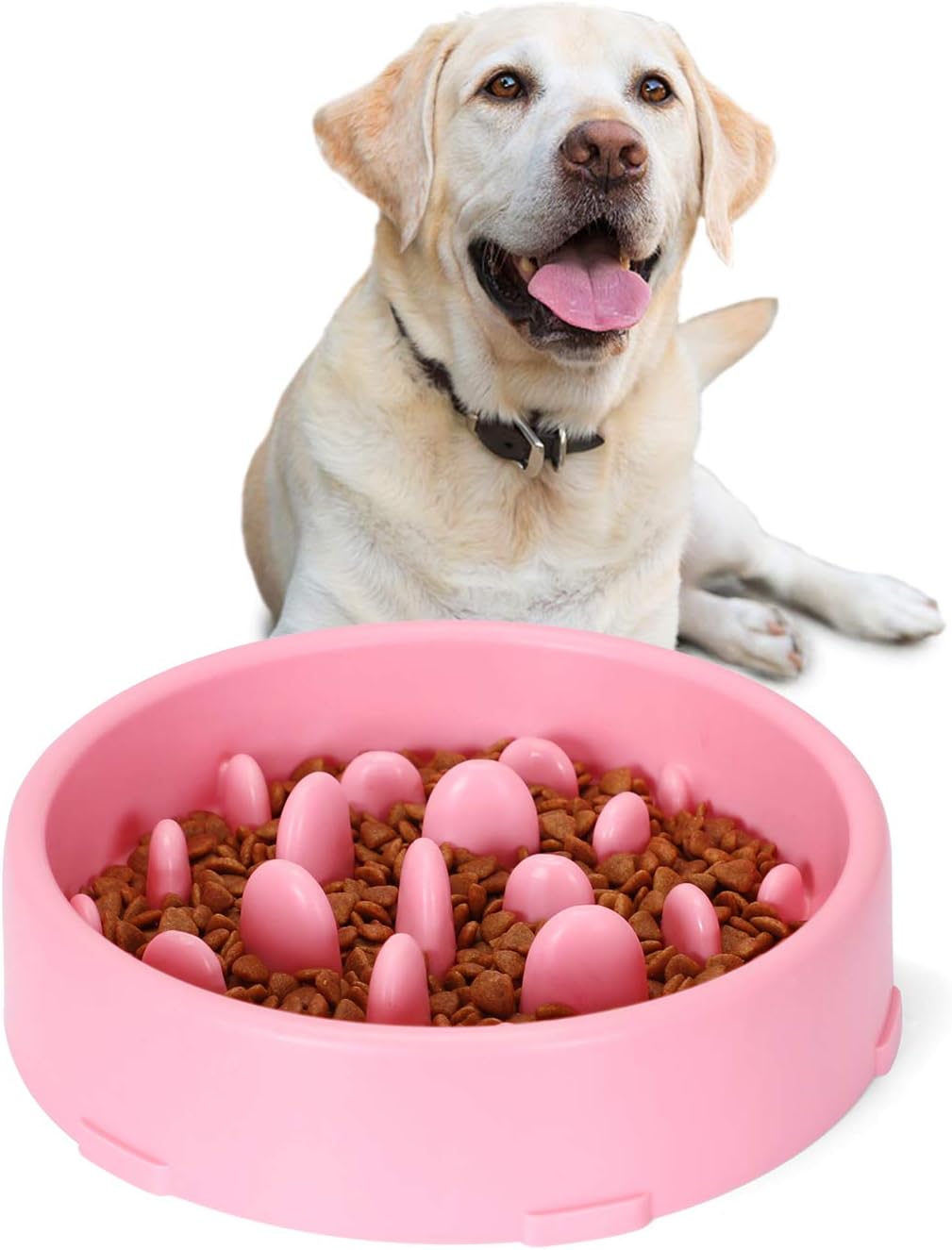 amazon slow dog feeder