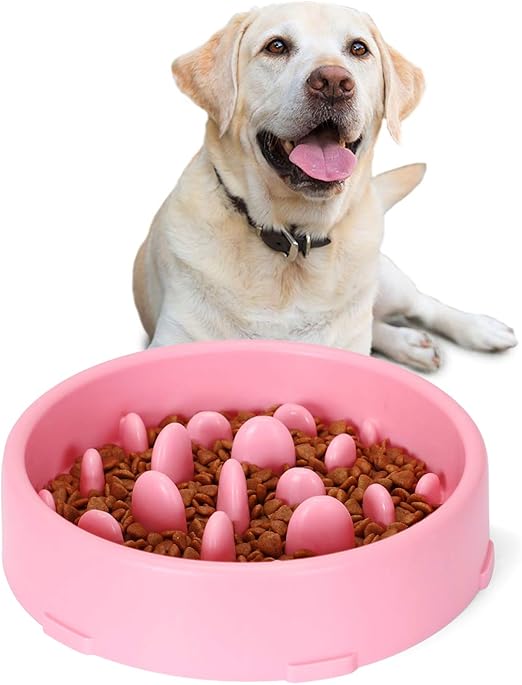 amazon dog slow feeder