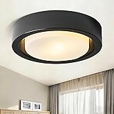 COTULIN Black Flush Mount Ceiling Light,13 Inch Matte Black Ceiling Lighting Fixture,2-Light Modern Round Metal Lamp with Whi