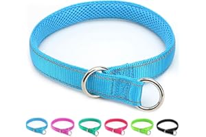 Mycicy Reflective Slip Dog Collar, Loop Dog Collar for 44-75 lbs Dogs Nylon Collars with Soft Padded for Pet Training– Teal 1" W x 22" L (Fits Neck 15.7"-19.7")