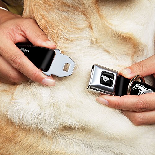 Buckle-Down Seatbelt Buckle Dog Collar - Ford Mustang Black/White Logo REPEAT - 1" Wide - Fits 11-17" Neck - Medium