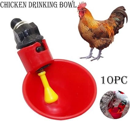 Amazon Com Eve Ruan 10 Pcs Automatic Chicken Drinker Cups
