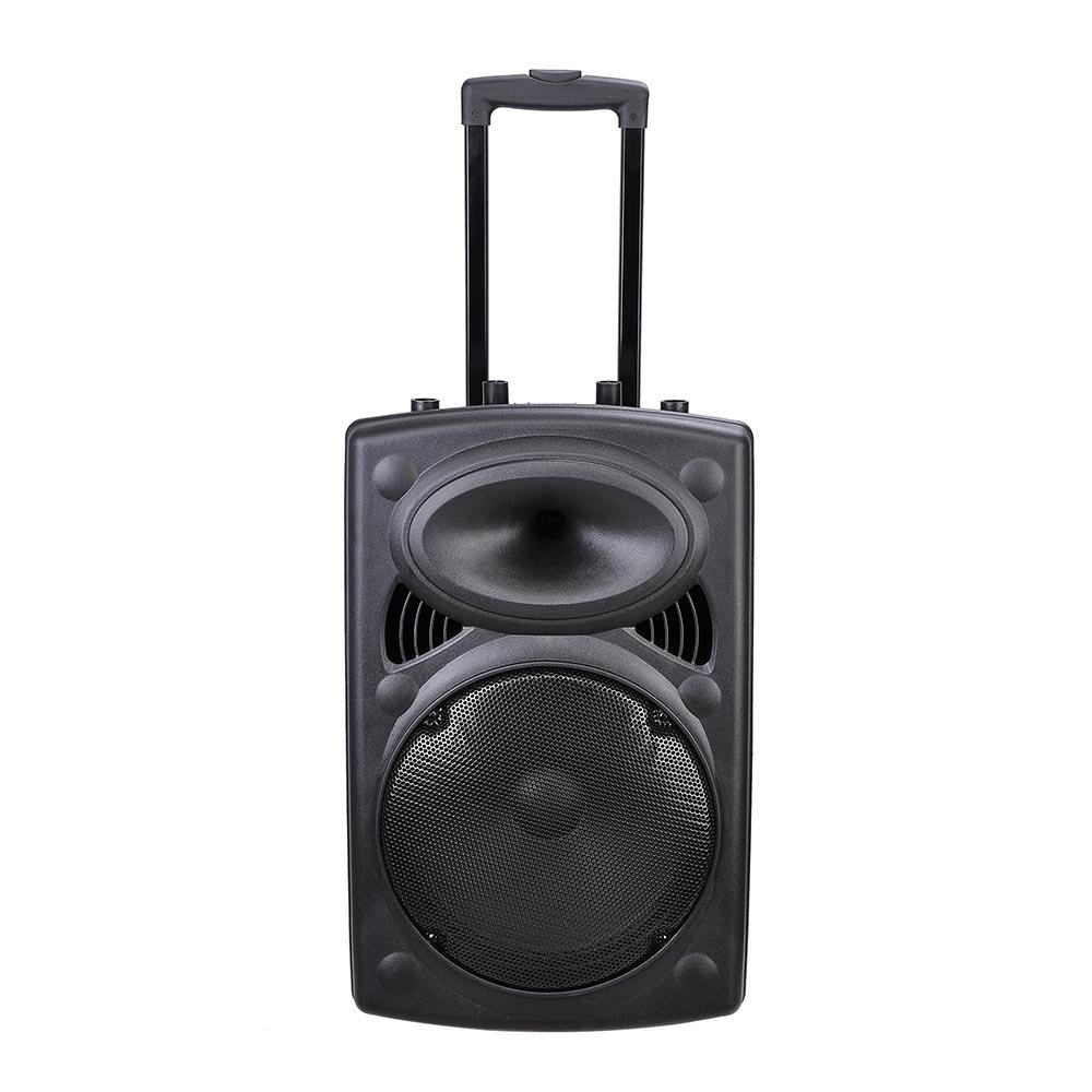 AW Portable 120W Active PA Speaker Mic Guitar AMP Bluetooth USB SD LCD