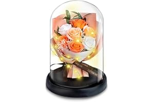 DHOEM Forever Flowers for Delivery Prime Birthday Bouquet Gifts for Women,Light Up Preserved Roses in Glass Dome for Mom,Eternal Rose Valentines Gifts for Her(Champagne Rose)