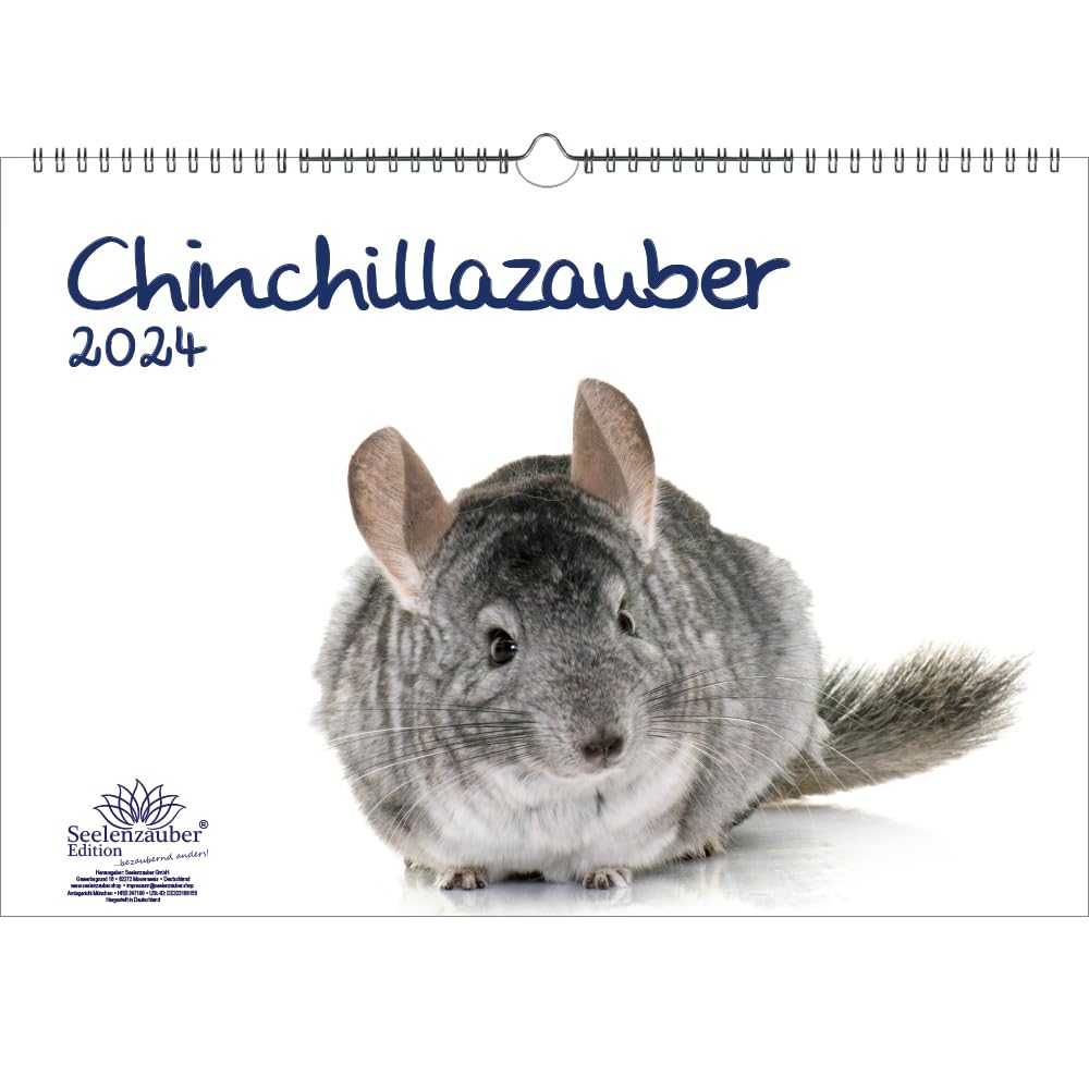 Chinchilla Magic DIN A3 Calendar for 2024 Chinchilla Seelenzauber